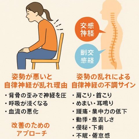 姿勢と自律神経の深い関係｜不調の原因は背骨にあった/江東区北砂
