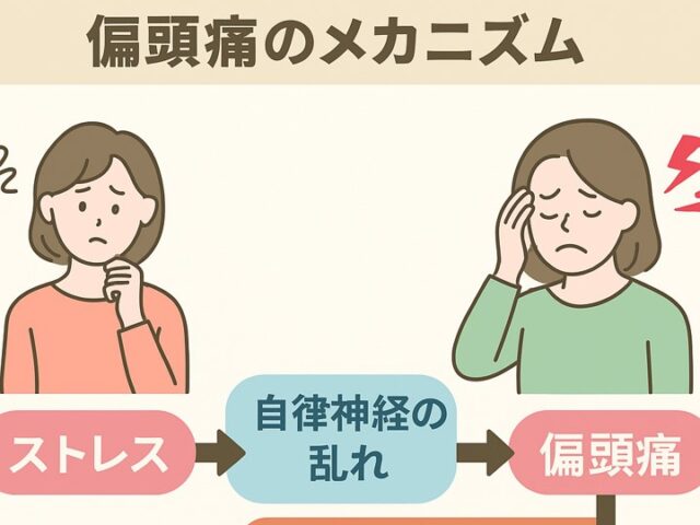 ストレスが引き起こす偏頭痛のメカニズム｜自律神経との深い関係