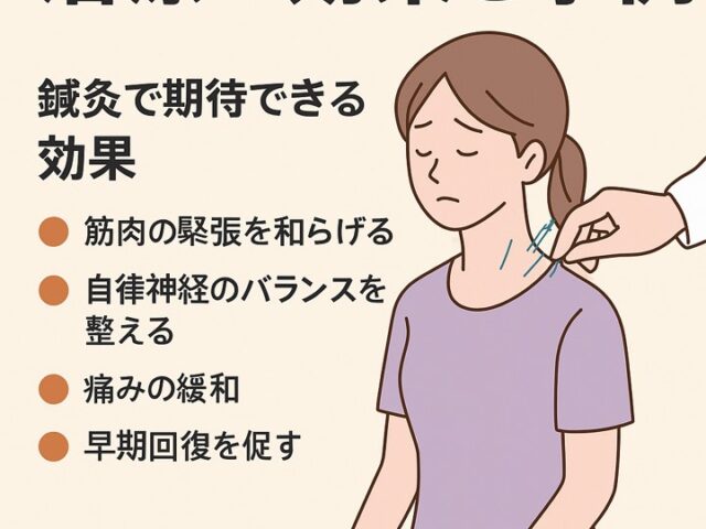 鍼灸で行うムチウチ治療の効果と事例/江東区北砂