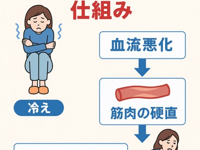 下半身の冷えがぎっくり腰を招く仕組み/江東区北砂