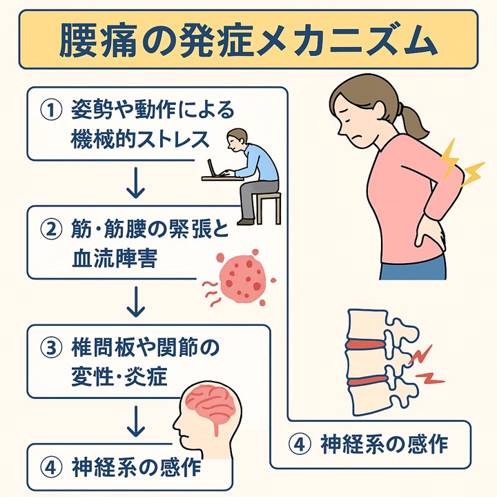中古】 腰痛に勝つ！ 痛みのメカニズムとこうすれば治るプラクティス