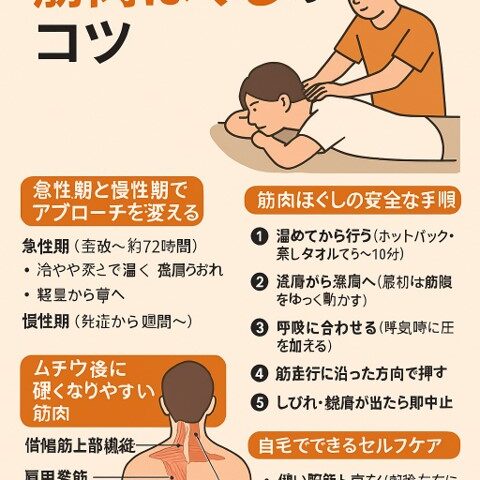 ムチウチ治療で重要な筋肉ほぐしのコツ｜整骨院が解説