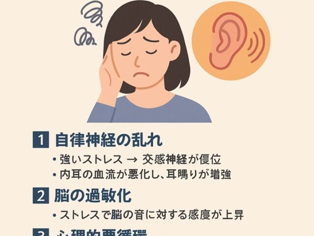 ストレスで耳鳴りが悪化するメカニズム/江東区北砂