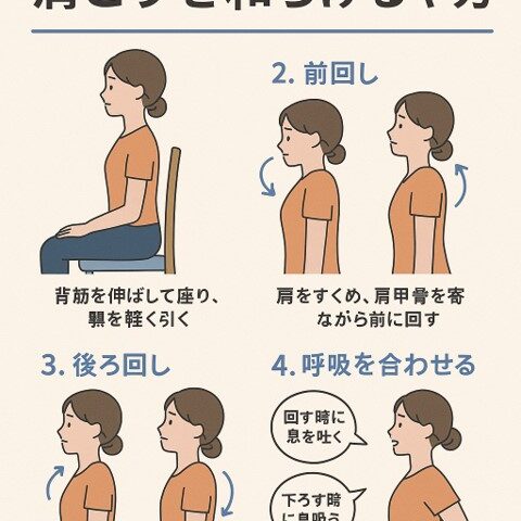肩回し運動で肩こりを和らげるやり方｜デスクワークの合間にできる簡単ストレッチ