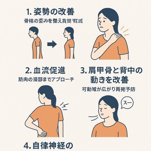 肩こりと猫背改善を同時に行う方法｜整骨院が解説