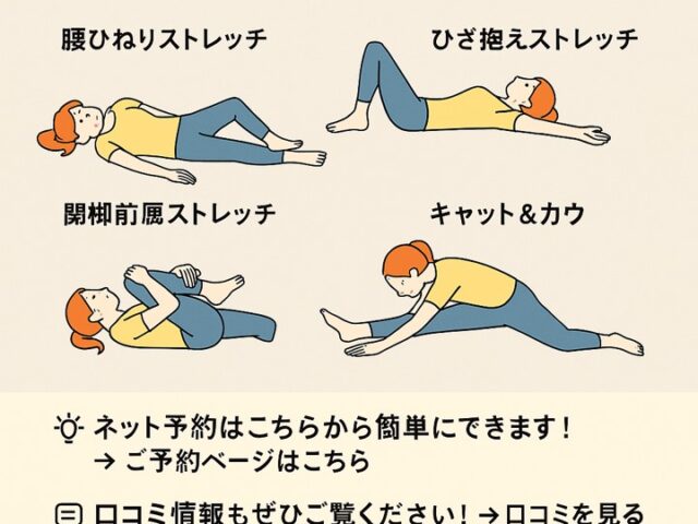 腰痛に効くストレッチ集｜自宅で簡単！毎日続けられるケア方法/江東区北砂