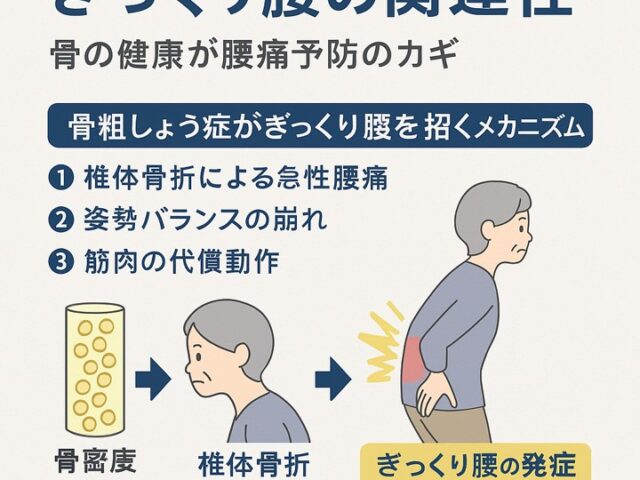 骨粗しょう症とぎっくり腰の関連性｜骨の健康が腰痛予防のカギ