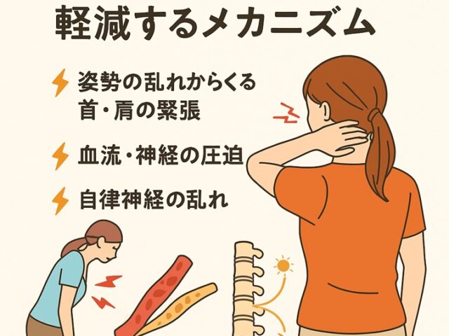 骨盤矯正で頭痛が軽減するメカニズム/江東区北砂