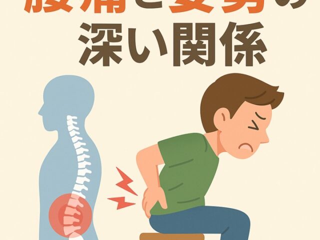 腰痛と姿勢の深い関係｜日常のクセが痛みを作る/江東区北砂