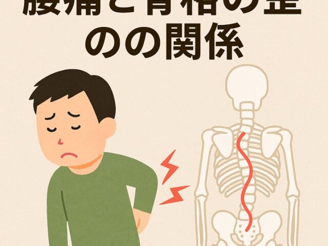 腰痛と骨格の歪みの関係/江東区北砂