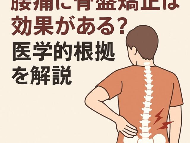 骨盤矯正の誤解と正しい知識｜本当に効果があるのは？/江東区北砂
