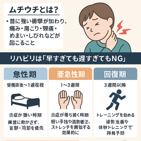 🚗 ムチウチ後のリハビリを始めるベストタイミング/江東区北砂