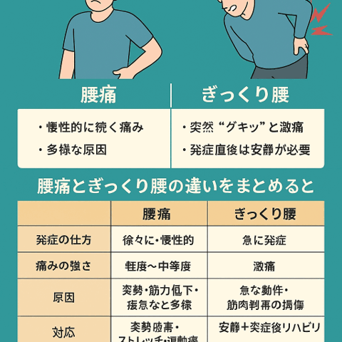 腰痛とぎっくり腰の違い｜症状・原因・対処法をわかりやすく解説