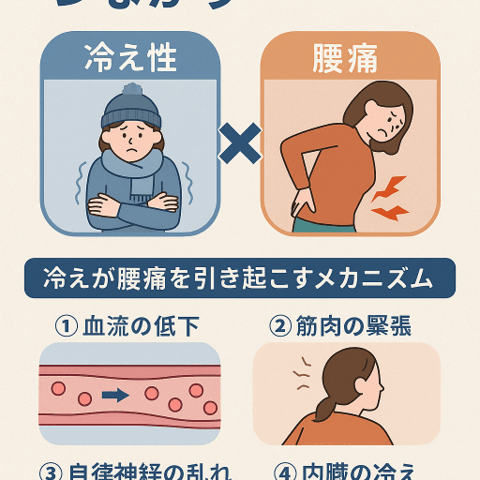 冷え性と腰痛のつながり/江東区北砂
