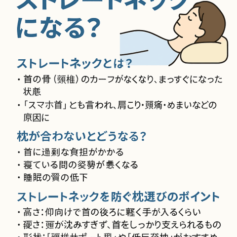 🛏️ 枕が合わないとストレートネックになる？/江東区北砂
