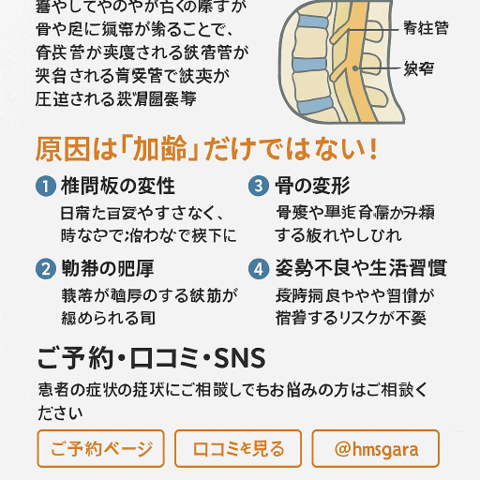 🦴 脊柱管狭窄症の原因とは？加齢だけではない理由/江東区北砂