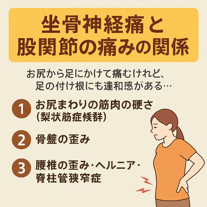 🦵 坐骨神経痛と股関節の痛みの関係/江東区北砂