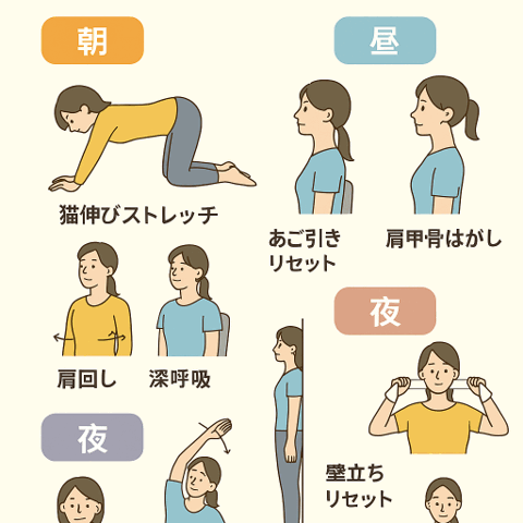 🧘‍♀️ 姿勢改善と肩こり解消のための1日ルーティン/江東区北砂