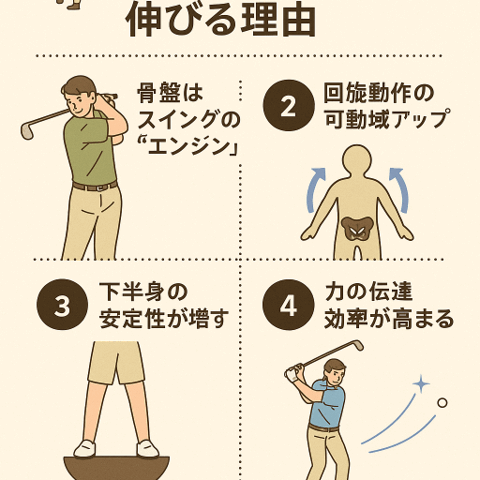 🏌️‍♂️ 骨盤矯正でゴルフの飛距離が伸びる理由/江東区北砂
