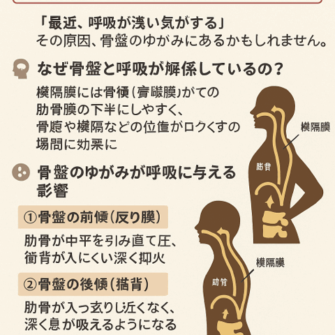 🌬 骨盤矯正と呼吸の深さの関係/江東区北砂