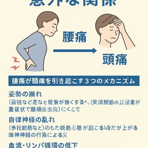 🤯 腰痛と頭痛の意外な関係/江東区北砂