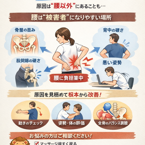 腰が痛い＝腰が悪い、とは限りません/江東区北砂