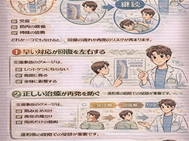 交通事故治療は「早い・正しい・継続」が重要/江東区北砂