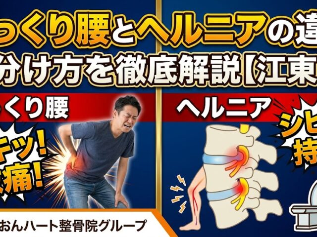 ぎっくり腰とヘルニアの違い｜見分け方を徹底解説【江東区】｜らいおんハート整骨院グループ