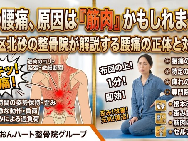 その腰痛、原因は『筋肉』かもしれません｜江東区北砂の整骨院が解説する腰痛の正体と対処法