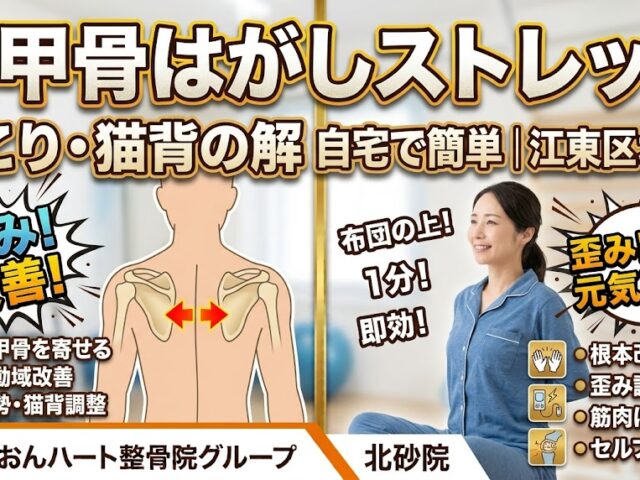 肩甲骨はがしストレッチ｜肩こり・猫背の解消に｜自宅で簡単｜江東区北砂